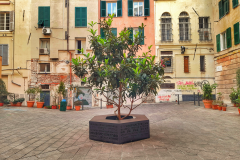 Genova centro storico piazza don Gallo